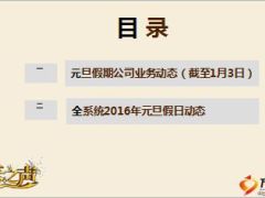 2016年开门红专刊元旦假日经营专题54页.ppt