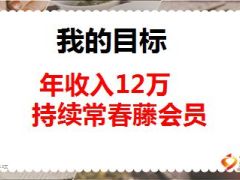 保险精英分享年度开支表助我成常春藤13页.ppt