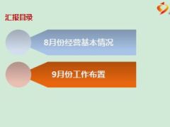 团险月度kpi数据分析报告13页.ppt