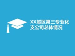 分公司筹备汇报材料概况举措经营思路30页.ppt