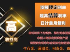 国寿鑫福年年特色介绍高快安活稳12页.ppt