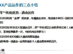 中支开门红工作一阶段小结二阶段规划模板19页.ppt