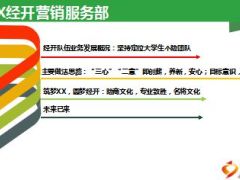 经开营销服务部个险大学生队伍筹建汇报31页.ppt