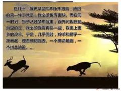 早会专题奔跑的力量23页.ppt