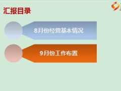 团险渠道月度工作汇报模板12页.ppt