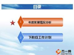 银保年度预算达成情况分析10页.ppt
