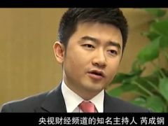 视频千万别说你有钱梅艳芳王均瑶芮成钢事例.rar