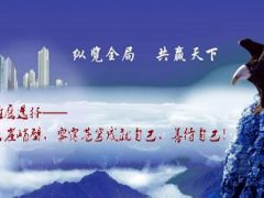 停售推动宣导国寿鑫福年年版31版.ppt