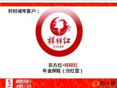 保额销售样样红太保版36页.ppt