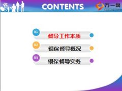 银保督导工作本质概况实务20页.ppt