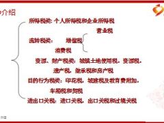 个人及家庭税收筹划43页.ppt