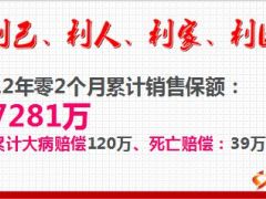 营销总监分享人人都做大绩优52页.ppt