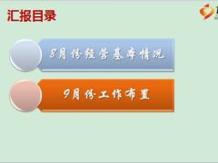 FR团险渠道月度工作汇报14页.ppt