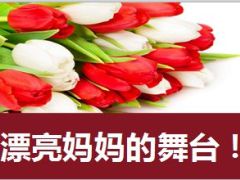 寻找漂亮妈妈女性增员专题27页.ppt