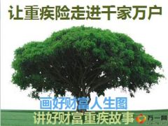 财富人生图宣导版含话术10页.ppt