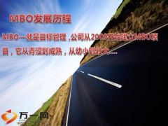 2016年度MBO经营目标管理规划报告24页.ppt