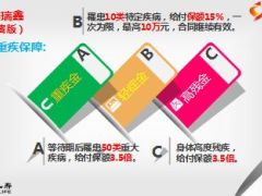 国寿瑞鑫典藏版产品解析18页.ppt