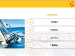 提升个险发展格局发展交流材料28页.ppt