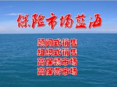 136客养活动酒会客户经营介绍推动53页.ppt