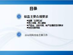 分公司高管风控合规要求及注意工作21页.ppt