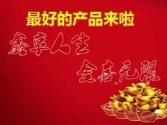 泰康鑫享人生升级金账户宣导24页.ppt