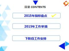 银保2015中支保险规划师队伍建设汇报20页.ppt