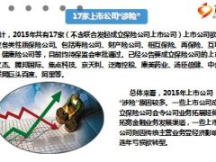2015年保险业年终总结突破与成长22页.ppt