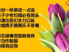 团队建设团队文化篇29页.ppt