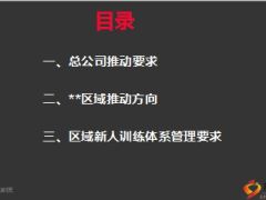 区部训练推动及新人训练体系管理要求新华版37页.ppt
