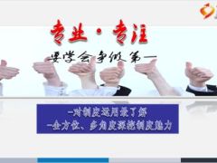 月收入分析会运作模板国寿版38页.ppt