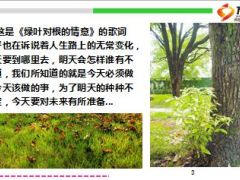 金炜玲曾是一代天后而今却成钟点工16页.ppt