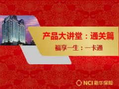 新华产品一卡通通关内容汇总21页.ppt