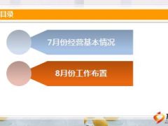 团险渠道月度工作汇报模板20页.ppt