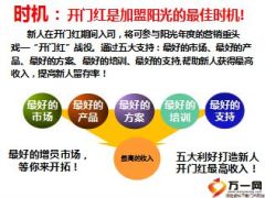大众创业做阳光金掌柜创说会启动31页.ppt