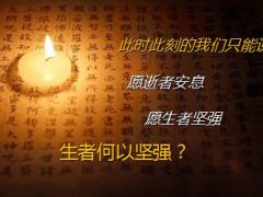 感恩答谢酒会安行宝主讲太保版22页.ppt