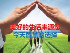 乡村感恩答谢酒会满堂红主讲片太保版36页.ppt