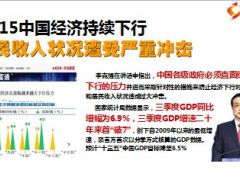 2015中国经济很冷保险很热理念篇22页.ppt