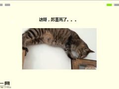 每日快乐早会16年1月9日使用15页.ppt