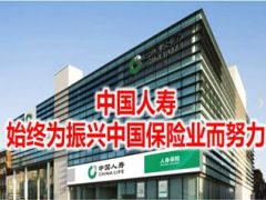 2016理财产说会主讲课件国寿鑫福年年64页.ppt