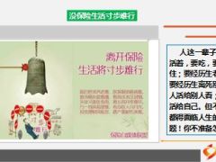 不买保险这些事儿你得自己扛13页.ppt