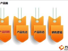 民生富贵鑫圣产品亮点形态销售逻辑34页.ppt