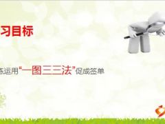 运用草帽图三三法则销售健康险19页.ppt