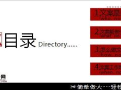 文案的逆袭PPT幻灯片模板11页.ppt