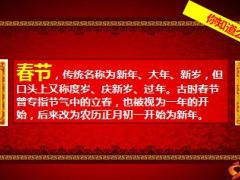 2016年中支春节年货方案宣导19页.ppt