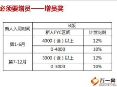 教练式增员系统工具包及增员激励方案31页.ppt