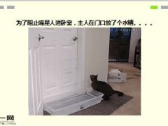 每日快乐早会16年1月15日使用15页.ppt