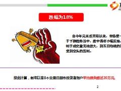 2016两周内股市跌去百分之18股民人均损失超20万6页.ppt