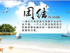 团队主管王牌部月KPI分析报告及2016整理思路40页.ppt