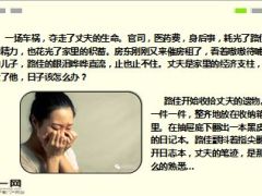 保险故事离世丈夫的9篇日记15页.ppt