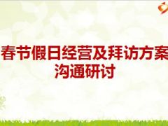 2016决胜215战况通报及春节假日经营方案30页.ppt